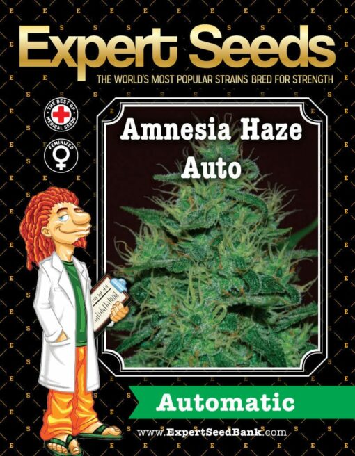 Amnesia Haze Auto