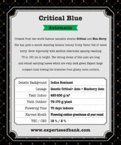 Critical Blue Auto