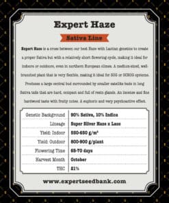 Expert Haze