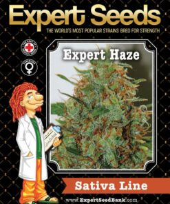 Expert Haze