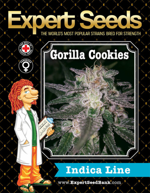 Gorilla Cookies