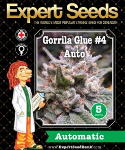 Gorrila Glue #4 Auto