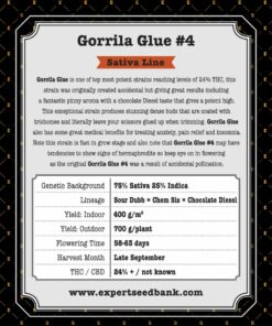 Gorrila Glue #4