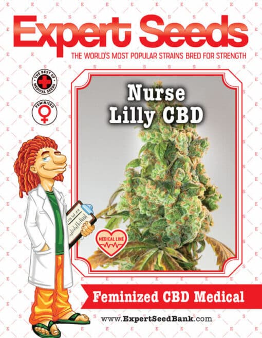 Nurse Lilly CBD