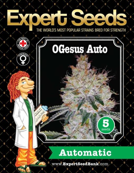 OGesus Auto