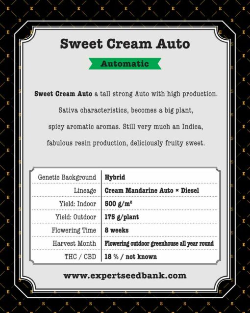 Sweet Cream Auto