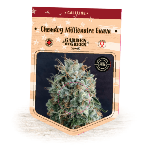 Chemdog Millionaire Guava Bulk