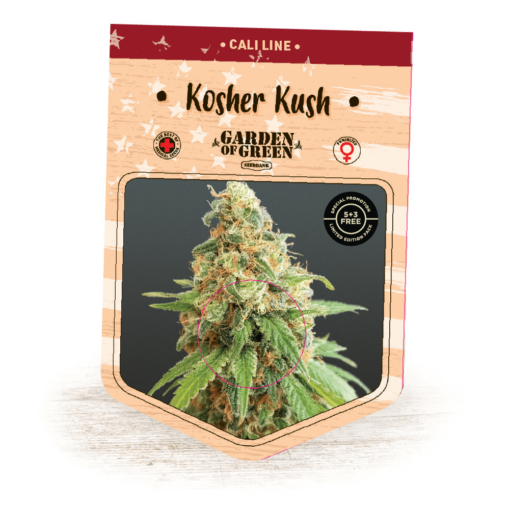 Kosher Kush