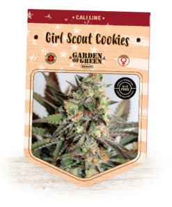 Girl Scout Cookies