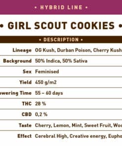 Girl Scout Cookies