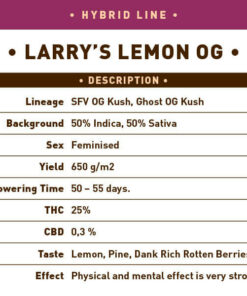 Larry's Lemon OG