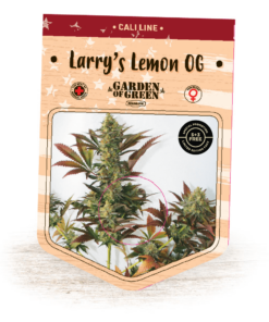 Larry's Lemon OG