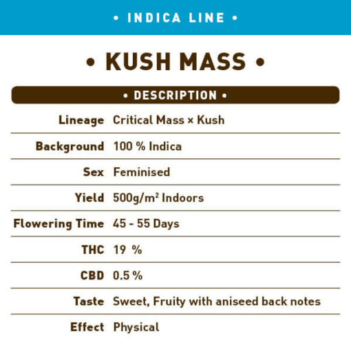 Kush Mass