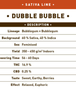 Dubble Bubble