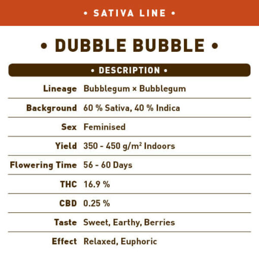 Dubble Bubble