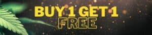 Buy 1 Get 1 Free Cannabis Seed